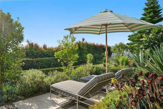 1119 Katella St, Laguna Beach, CA 92651 - photo 26