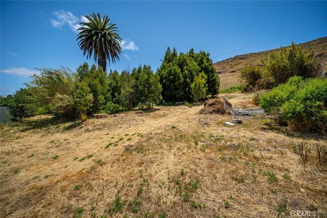 3143 Rockview Pl, San Luis Obispo, CA 93401 - view of nature