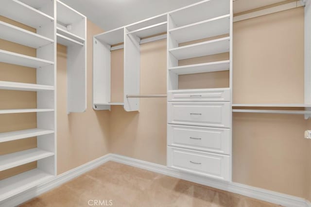 1539 Windshore Way, Oxnard, CA 93035 - walk in closet featuring light carpet