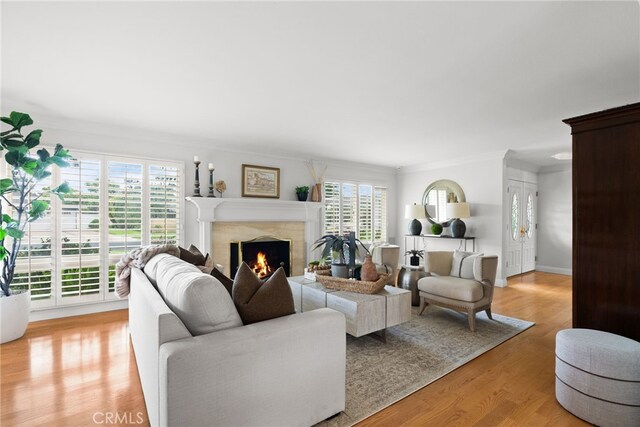1162 Castlegate, North Tustin, CA 92705 - living room featuring ornamental molding, a fireplace, and light wood-style floors