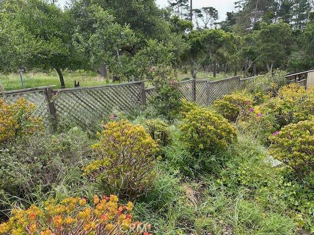 5998 Sunbury Ave, Cambria, CA 93428 - photo 32