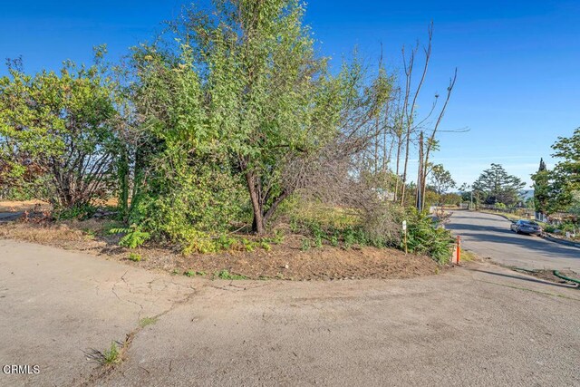 235 W Poppyfields Dr, Altadena, CA 91001 - photo 4
