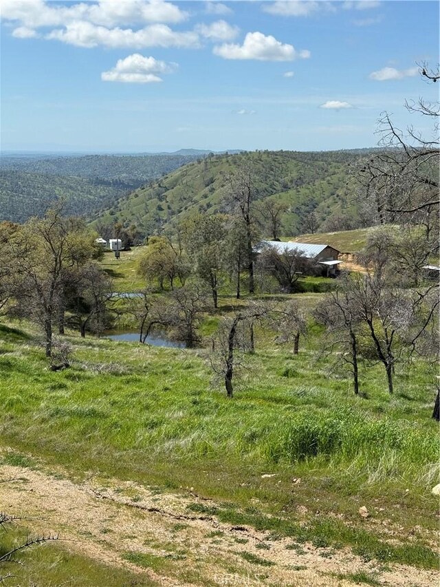 38914 Rd 810, Raymond, CA 93653 - photo 3