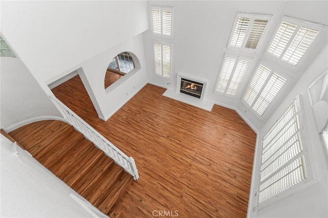 24545 Santa Clara Ave, Dana Point, CA 92629 - unfurnished living room with a high ceiling, a glass covered fireplace, and wood finished floors
