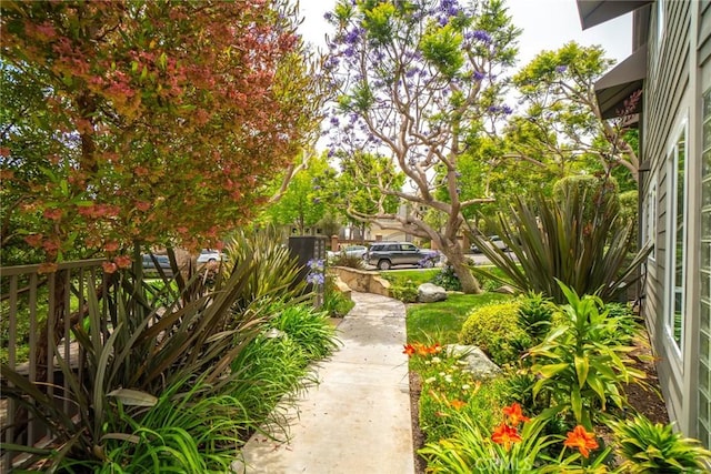 24545 Santa Clara Ave, Dana Point, CA 92629 - view of yard