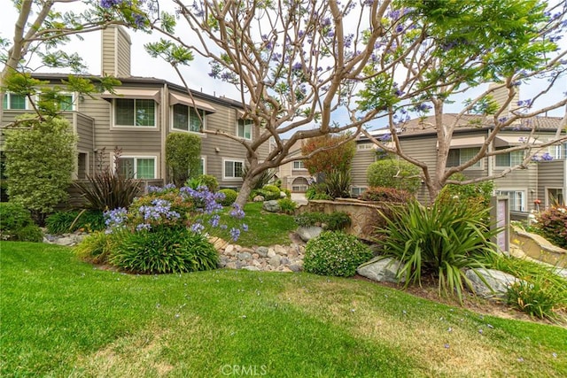 24545 Santa Clara Ave, Dana Point, CA 92629 - view of grassy yard