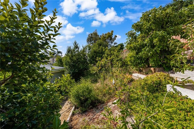 40 Country Wood Dr, Phillips Ranch, CA 91766 - photo 46