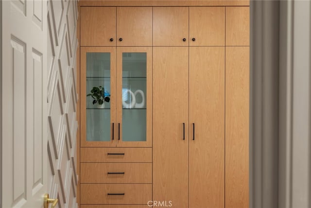 19851 Malaga Ln, Yorba Linda, CA 92886 - view of closet