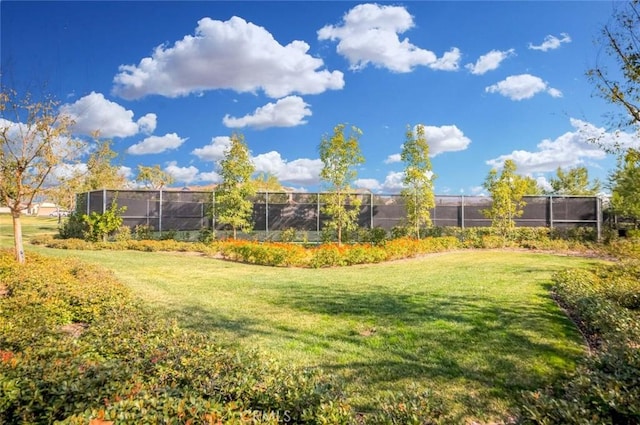 1123 Klose Ln, Fullerton, CA 92833 - view of yard