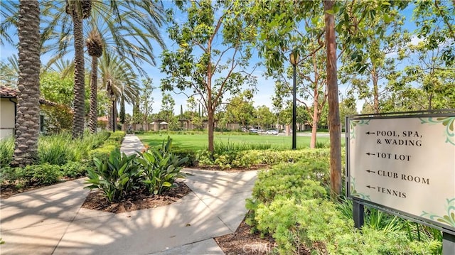 51 Calypso, Irvine, CA 92618 - photo 43