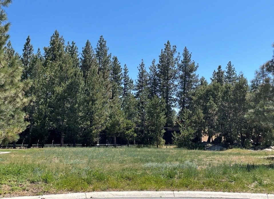 0 Pinto Ct, Big Bear Lake, CA 92315 - photo 2