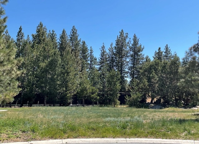 0 Pinto Ct, Big Bear Lake, CA 92315 - photo 2