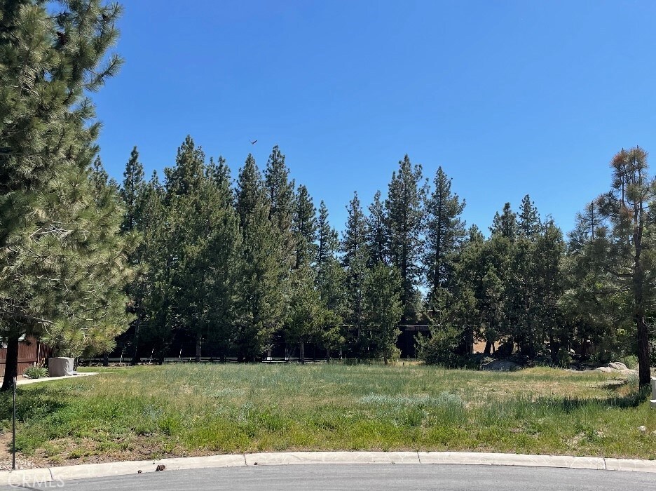 0 Pinto Ct, Big Bear Lake, CA 92315 - photo 1