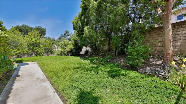 2431 Elizabeth Ct, Upland, CA 91784 - view of yard