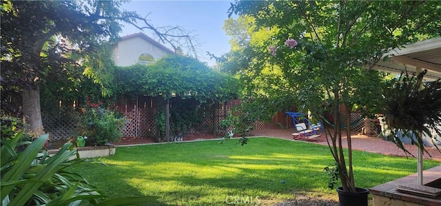 1447 Genoa Ln, San Jacinto, CA 92583 - view of yard with a patio area