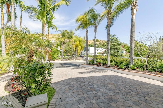 8857 Bluffdale Dr, Sun Valley, CA 91352 - view of home's community