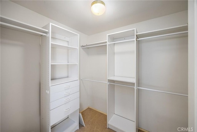 27470 Lakeview Dr, Helendale, CA 92342 - spacious closet with carpet