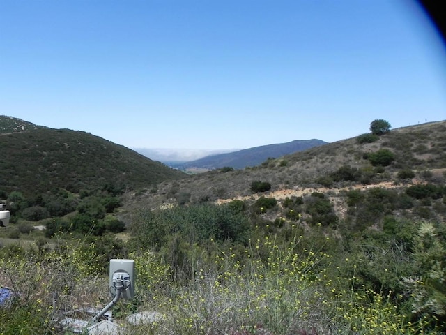 9455 Via Arturo, Descanso, CA 91916 - photo 5