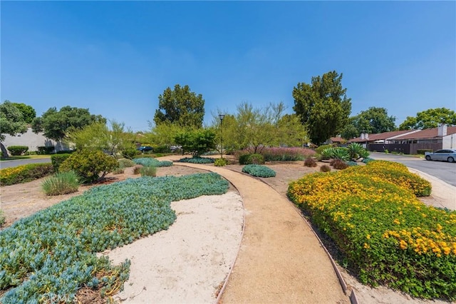 2011 W Katella Ave Unit 61, Anaheim, CA 92804 - view of surrounding community