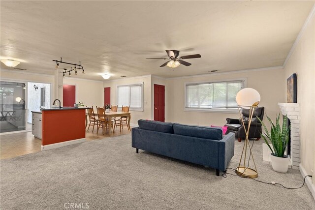 3030 Silverbell Rd, Chico, CA 95973 - living area with ornamental molding, a ceiling fan, rail lighting, and carpet floors