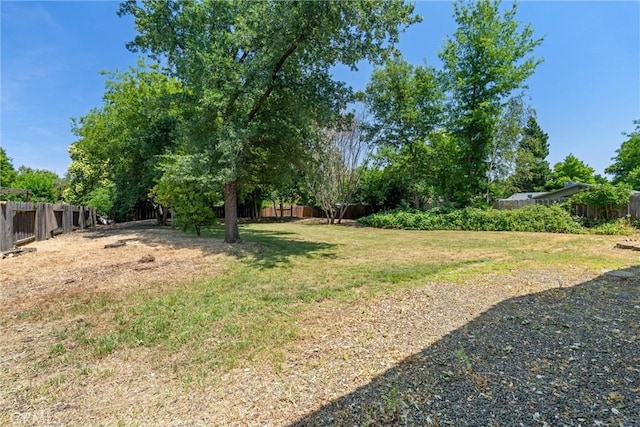 3030 Silverbell Rd, Chico, CA 95973 - view of yard