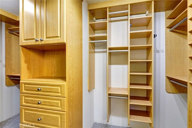 55 Fairfield, Lake Forest, CA 92610 - view of spacious closet