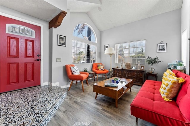 13519 Fremont St, Fontana, CA 92336 - living area with wood finished floors and high vaulted ceiling