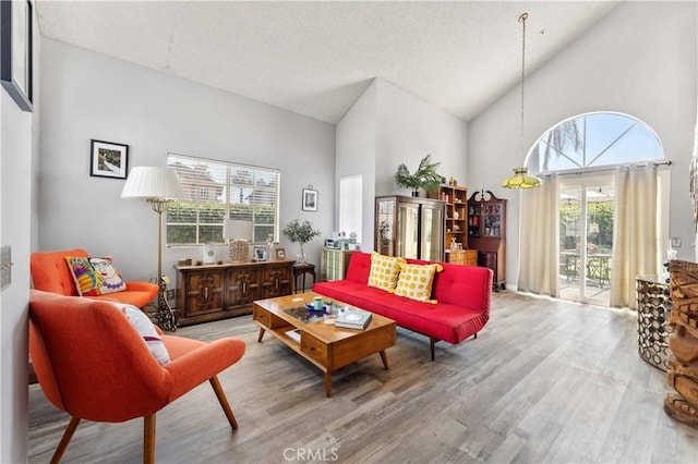 13519 Fremont St, Fontana, CA 92336 - living area featuring wood finished floors and high vaulted ceiling