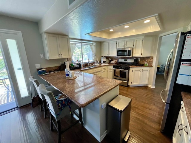 1917 Tecate, Escondido, CA 92029 - kitchen with appliances with stainless steel finishes, a tray ceiling, a peninsula, dark wood-style floors, and recessed lighting