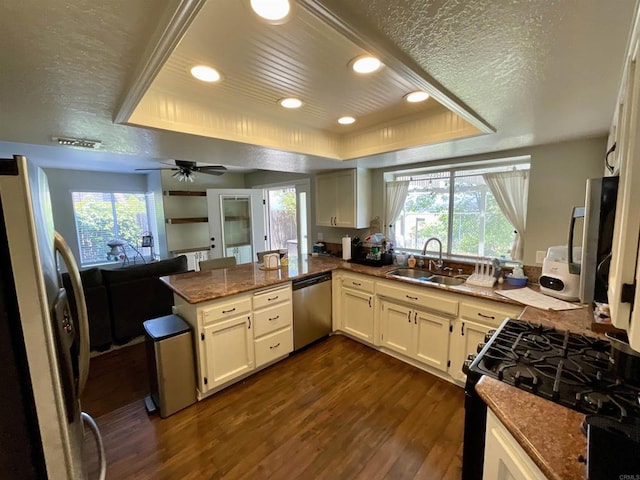 1917 Tecate, Escondido, CA 92029 - kitchen with appliances with stainless steel finishes, a tray ceiling, a sink, dark wood-style flooring, and a peninsula