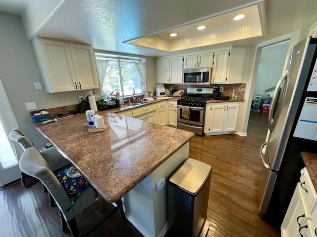 1917 Tecate, Escondido, CA 92029 - kitchen with appliances with stainless steel finishes, a raised ceiling, a sink, a peninsula, and dark wood finished floors