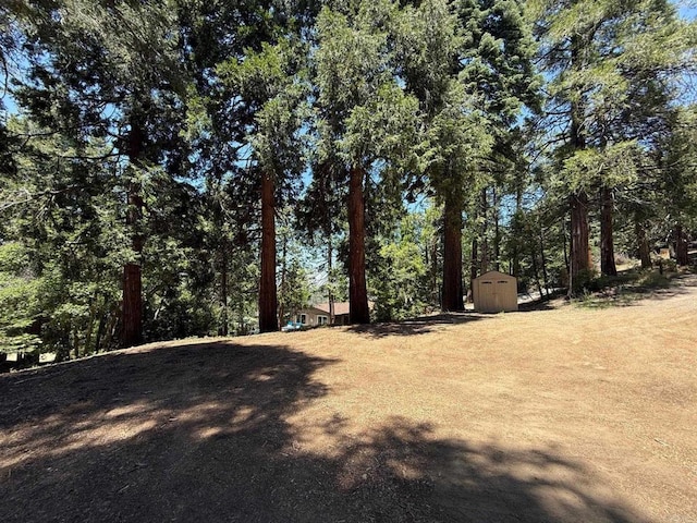 21803 Crestline Rd, Palomar Mountain, CA 92060 - view of yard featuring a wooded view