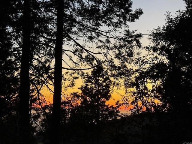 21803 Crestline Rd, Palomar Mountain, CA 92060 - view of nature at dusk