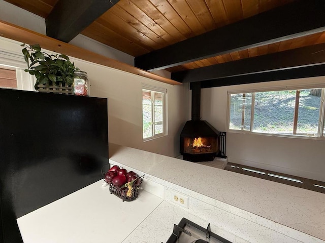 21803 Crestline Rd, Palomar Mountain, CA 92060 - detailed view of a wood stove and a wooden ceiling with exposed beams