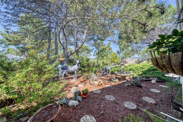 460 Lake Vista Dr, Lakeport, CA 95453 - photo 10