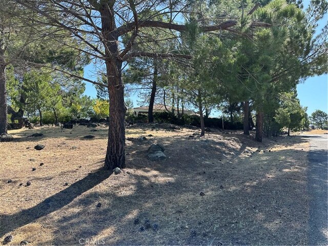 460 Lake Vista Dr, Lakeport, CA 95453 - photo 74