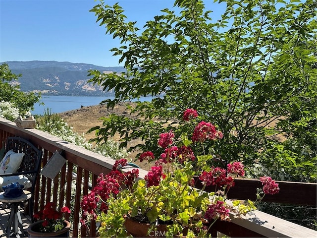 460 Lake Vista Dr, Lakeport, CA 95453 - photo 68
