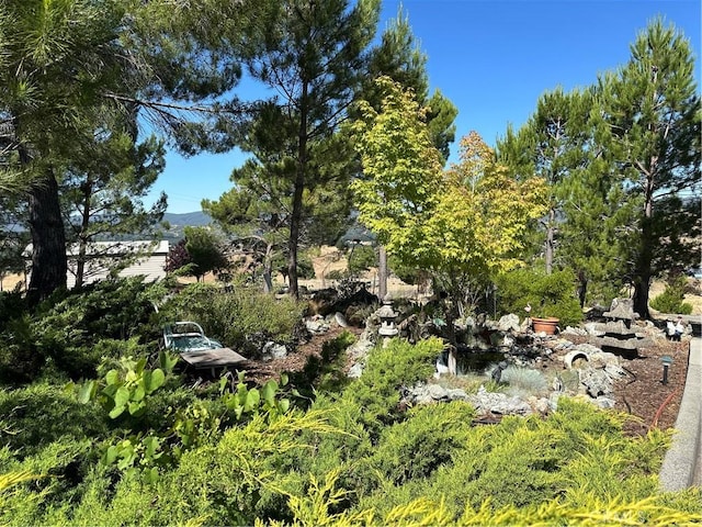 460 Lake Vista Dr, Lakeport, CA 95453 - photo 73