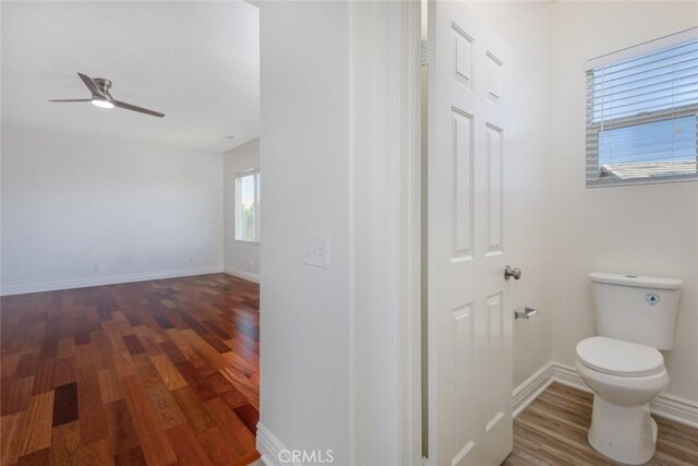 31666 Rosales Ave, Murrieta, CA 92563 - photo 33