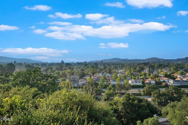 31673 Foxfield Dr, Westlake Village, CA 91361 - photo 52