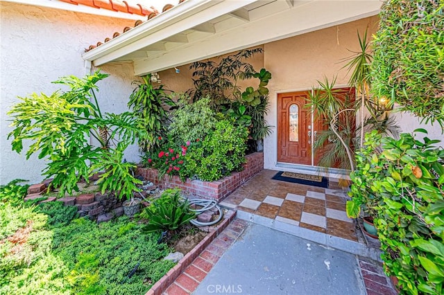1736 Island Dr, Fullerton, CA 92833 - view of exterior entry with stucco siding