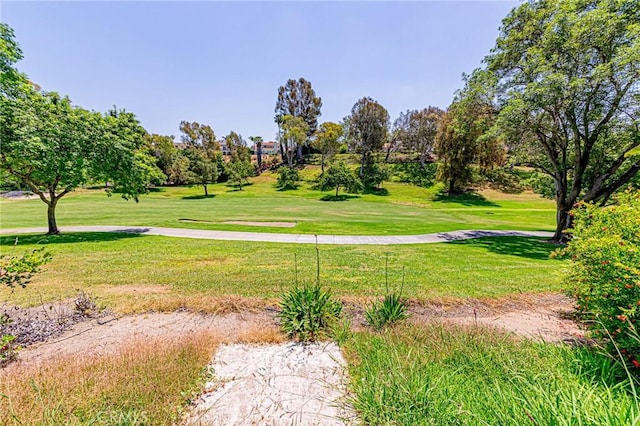 1736 Island Dr, Fullerton, CA 92833 - surrounding community featuring a yard