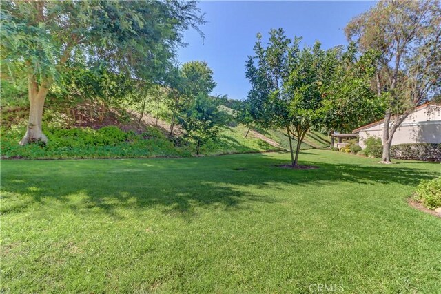 5341 Bahia Blanca W Unit C, Laguna Woods, CA 92637 - view of grassy yard
