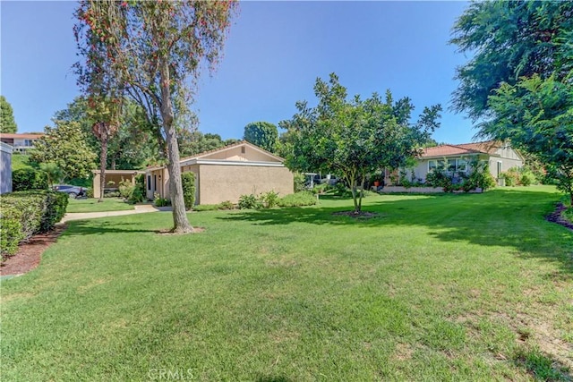 5341 Bahia Blanca W Unit C, Laguna Woods, CA 92637 - view of green lawn