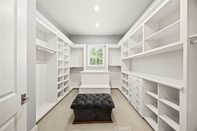2600 S 2nd Ave, Arcadia, CA 91006 - walk in closet featuring light colored carpet