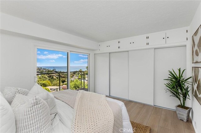 1385 Terrace Way, Laguna Beach, CA 92651 - bedroom featuring light wood-style floors, a closet, a water view, and a textured ceiling