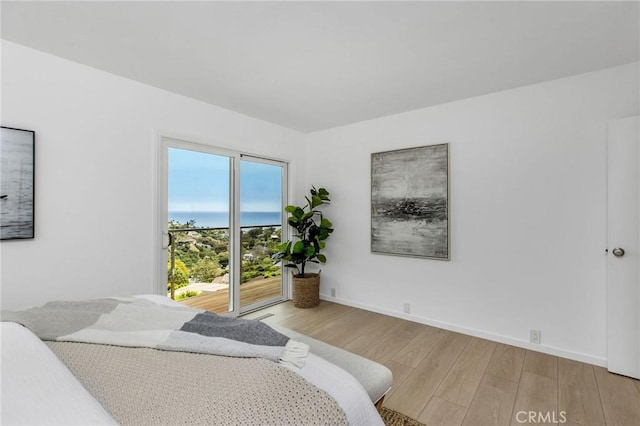 1385 Terrace Way, Laguna Beach, CA 92651 - bedroom with light wood-style floors and access to exterior