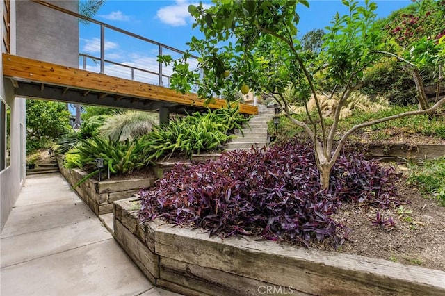 1385 Terrace Way, Laguna Beach, CA 92651 - view of yard with stairway