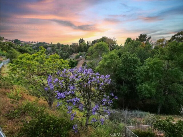 26633 Academy Dr, Palos Verdes Peninsula, CA 90274 - view of nature at dusk