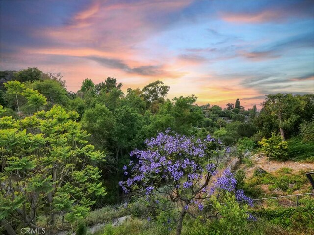 26633 Academy Dr, Palos Verdes Peninsula, CA 90274 - view of nature
